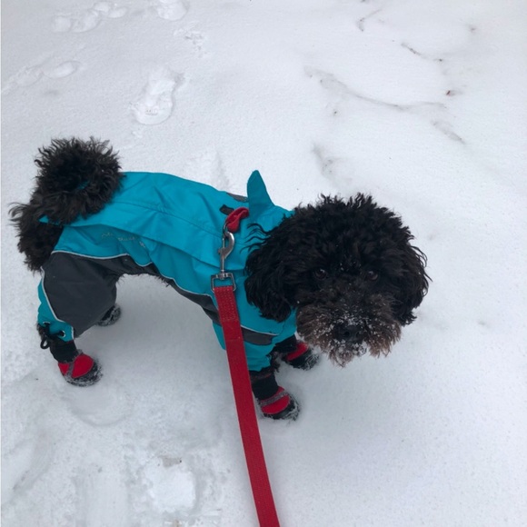 TOUCHDOG SNOWSUIT Reflective🌟 SMALL - Picture 3 of 6